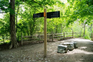 Toronto 'daki Crothers Ormanı Doğa Koruma Alanı.