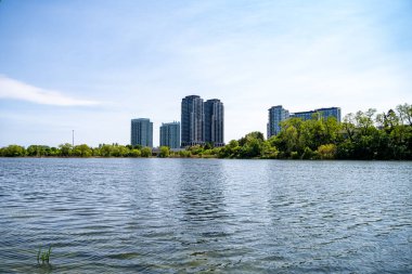 Yüksek Park Toronto 'da Serene Pond Manzarası.