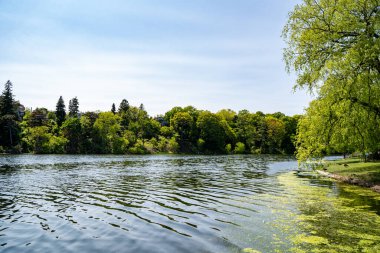 Yüksek Park Toronto 'da Serene Pond Manzarası.