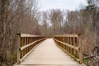Mississauga 'daki Rattray Bataklığı Koruma Alanı.