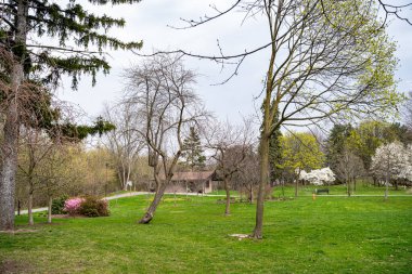 Brueckner 'ın Mississauga' daki Rhododendron Gardens manzarası.