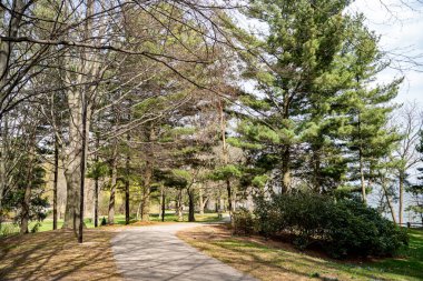 Brueckner 'ın Mississauga' daki Rhododendron Gardens manzarası.