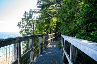 Tobermory 'deki Çiçek Saksısı Adası' ndaki patika görüntüsü.
