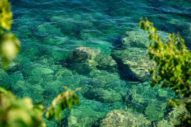 Ağaç dalları arasından temiz suyun görüntüsü.