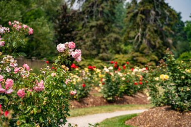 Oakville 'deki Gairloch Gardens manzarası.