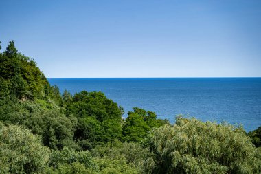 Yeşil ağaçlar ve mavi deniz manzarası.