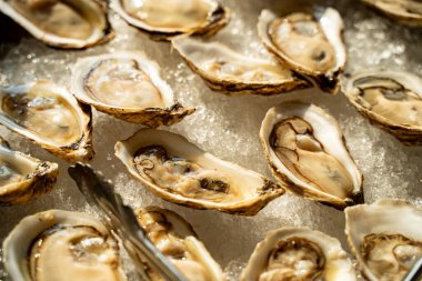 Buzdaki taze istiridyeleri kapatın..