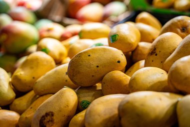 Markette ataulfo mango manzarası.