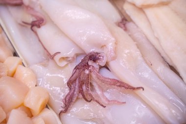 Balık pazarında taze kalamar manzarası.