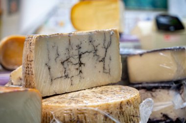 Piyasada trüf peyniri tekerlekleri görünümü.