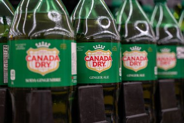 Kanada zencefilli gazoz şişelerini kapatıver. Toronto, Kanada - 3 Ekim 2025.