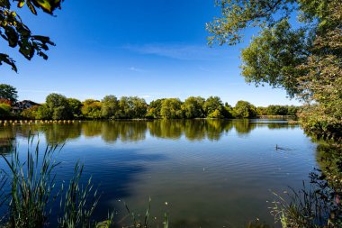 Kanada, Unionville 'deki Toogood Gölü manzarası.