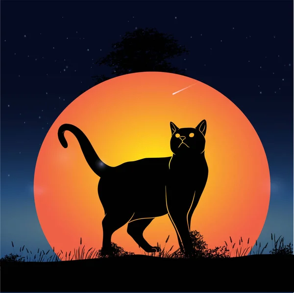 Черная Кошка Фоне Ночного Неба Звездами Луной — стоковый вектор