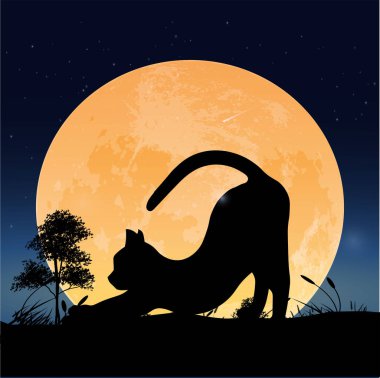 Siluet Ay 'da çekilen bir kedi
