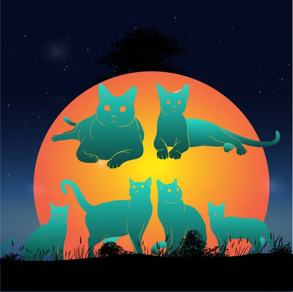 Coleção Silhueta Gato Com Lua Cheia — Vetor de Stock