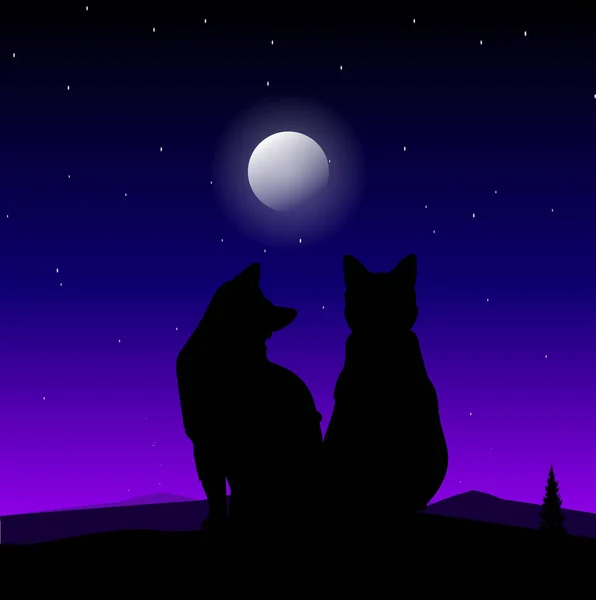 Dois Gatos Contra Fundo Lua Céu Estrelado — Vetor de Stock