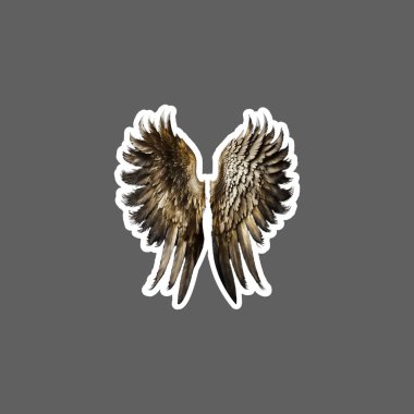 pair of bird wings sticker