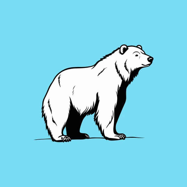 위에서 북극곰 — 스톡 벡터
