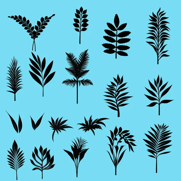 エキゾチックな葉のシンプルなシルエットのセット — ストックベクタ