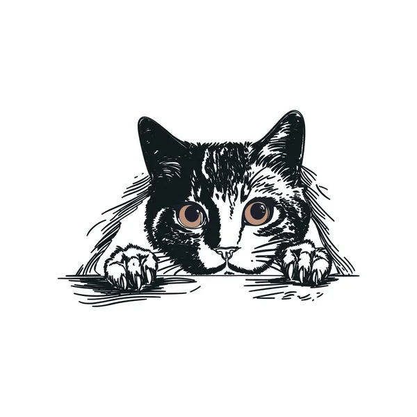 Γάτα Που Κρυφοκοιτάζει Χαρούμενη Γατούλα Που Κρυφοκοιτάζει — Διανυσματικό Αρχείο