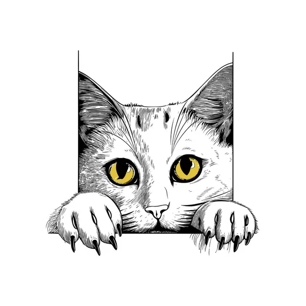 Kleine Katze Kätzchen Schwarz Weiß Vektorillustration — Stockvektor