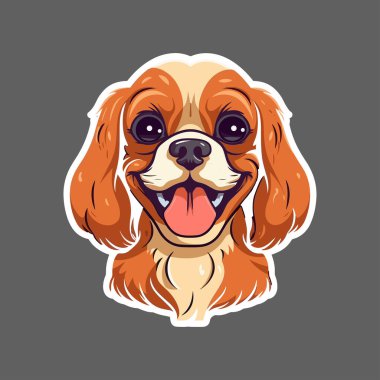Süvari Kral Charles Spaniel 'in şirin, gülümseyen köpeği.