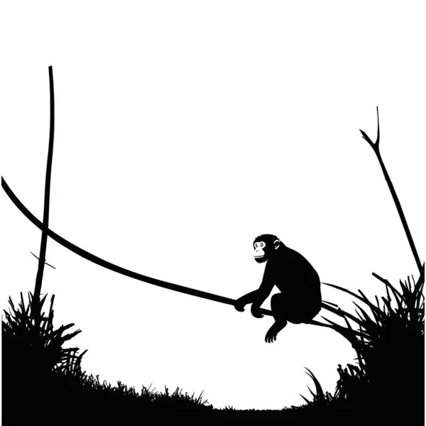 Monkey Silhuett Hängande Tråd Isolerad Vit Bakgrund — Stock vektor