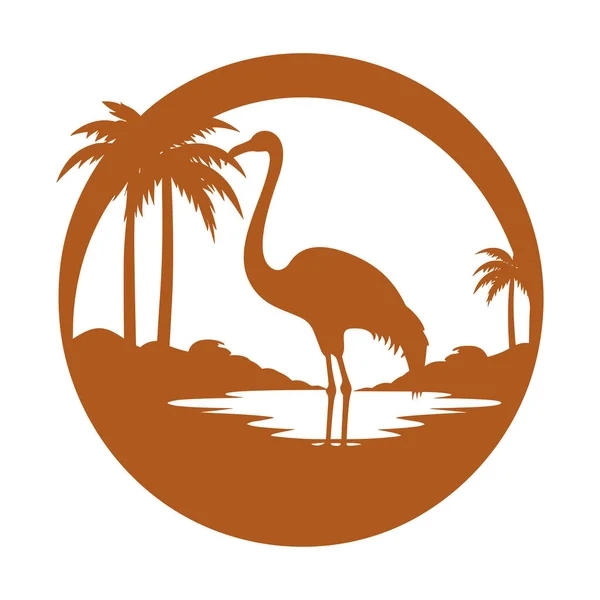 Brun Enkel Flamingo Vektor Illustration — Stock vektor