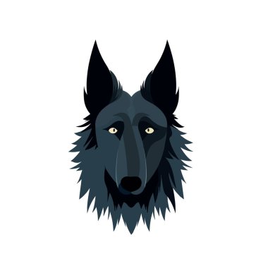 Shetland çoban köpeğinin yüzü beyaz bir arka planda izole edilmiş.