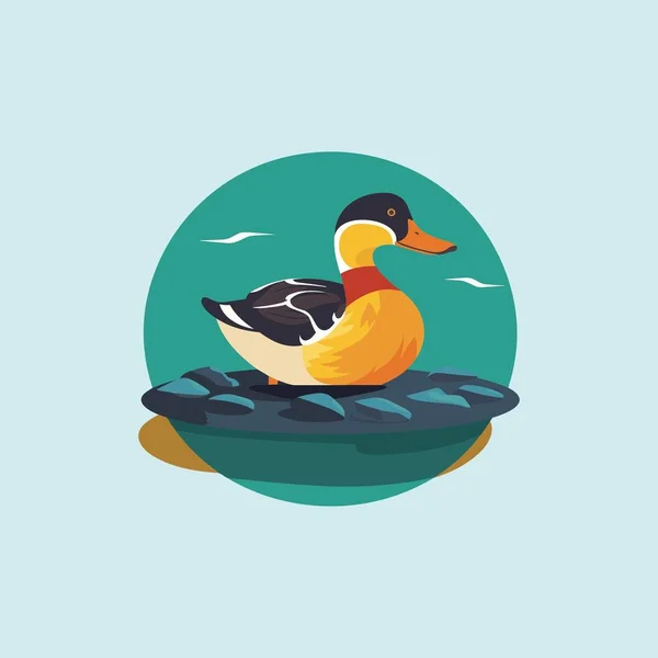 Pato Bonito Nadando Água Isolada — Vetor de Stock