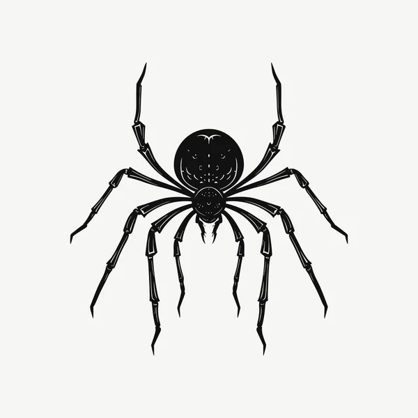 Περίπλοκος Σχεδιασμός Μιας Αράχνης — Διανυσματικό Αρχείο