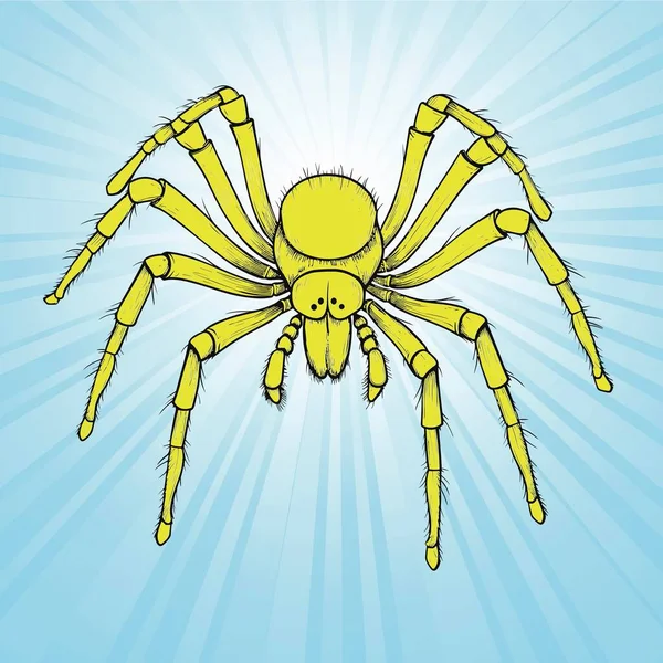 Yellow Spider Long Legs Light Blue Background — Stock Vector