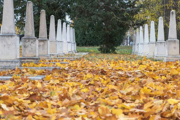 墓地の絨毯のように敷き詰められた黄金のカエデの葉 — ストック写真