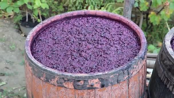 Red Wine Process Fermentation Wooden Barrel Concept Making Wine — Stock Video