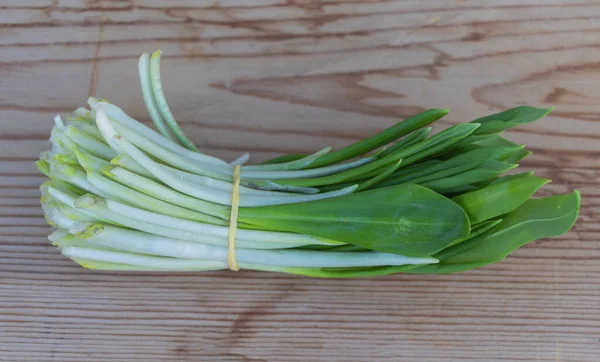 Wild Wonderful Close Fresh Garlic Wood — Stok Foto