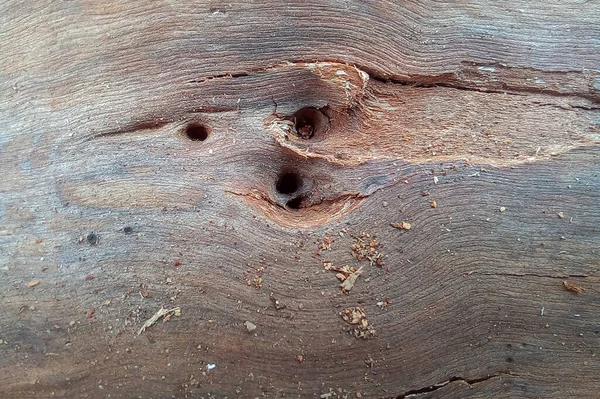 穴の開いた木の質感 クローズアップショット — ストック写真
