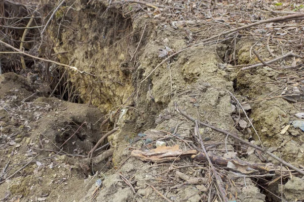 Force Nature Seeing Landslide Devastation Dalam Bahasa Inggris Stok Gambar Bebas Royalti