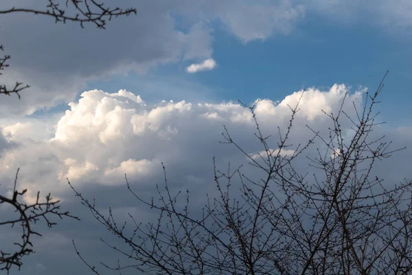 Dramatische Hemel Met Witte Wolken Kale Takken Van Een Boom — Stockfoto