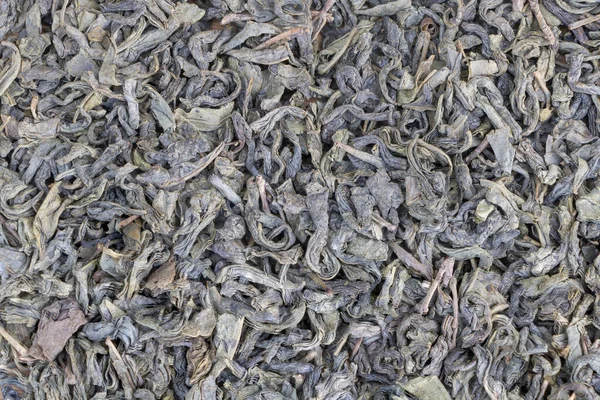Suche Liście Zielonej Herbaty Jako Tło Zamknij Drzwi Widok Góry — Zdjęcie stockowe