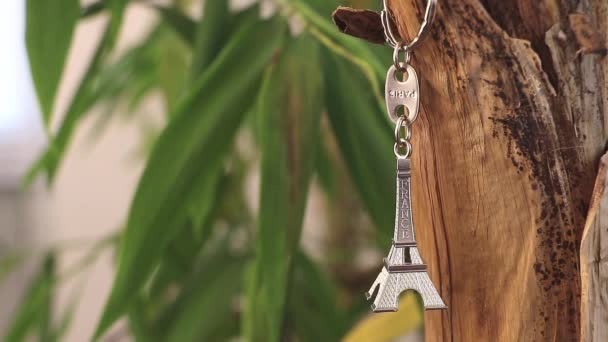 Indoor Decor French Twist Eiffel Tower Keychain Banana Tree Stem — Stock Video