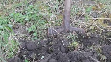 Bahçıvanlık Sanatı: küreğin incelikli ve sanatsal bir görünümü, bahçıvanın yeteneğinin ve zanaata olan bağlılığının bir sembolü.