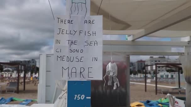 里米尼海滩上的一个标志海里有水母 — 图库视频影像