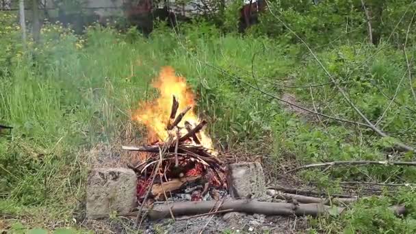 Grillside Ontsteking Vlammen Voor Buiten Koken — Stockvideo