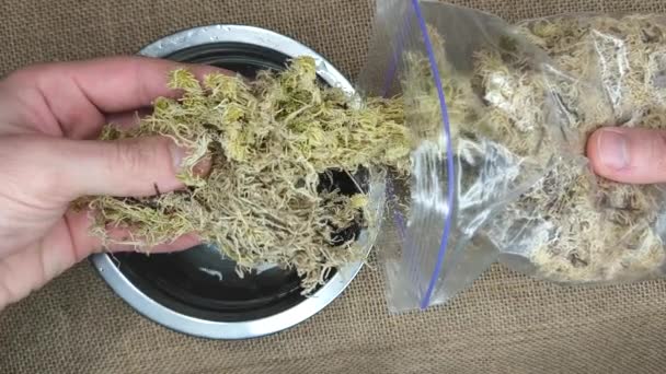 干燥的苔藓被放在一个空的金属水碗的底部 — 图库视频影像