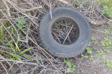Yerde yatan eski bir lastik. Etrafı çim ve sopalarla çevrili. Nesne, kenarının bir ucunda aşınmış siyah kauçukla gri renktedir..