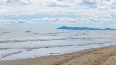 Serene Seascape: Sunlight 'ta yıkanan bir Sandy Shore.