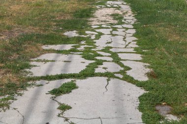 Düz, düz beton bir yol üzerinde çatlaklar ve yanında küçük çimenler var..