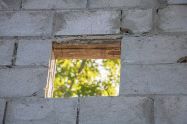 Penceresi açık beyaz beton bir duvar, dışarıdaki bir ağacı gösteriyor..