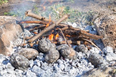 Rustic Kamp Ateşi Közleri Pişirme: Parlak Küle Bulanmış Kömür Kızarmış Patatesler ve Açık havada Pişirme Tutkuları İçin Ahşap Alevler.