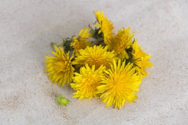 Masanın üzerinde bir buket sarı karahindiba var, betondan yapılmış ve pürüzlü bir dokusu var. Resim tepeden tırnağa.